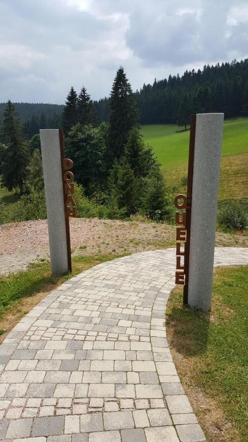 Schwarzwald geht immer Fewo 60 qm mit großem Südbalkon, WLAN und Magenta TV Schönwalde Exterior foto