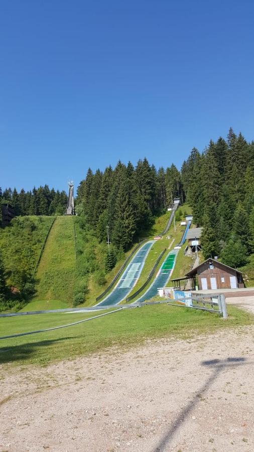 Schwarzwald geht immer Fewo 60 qm mit großem Südbalkon, WLAN und Magenta TV Schönwalde Exterior foto