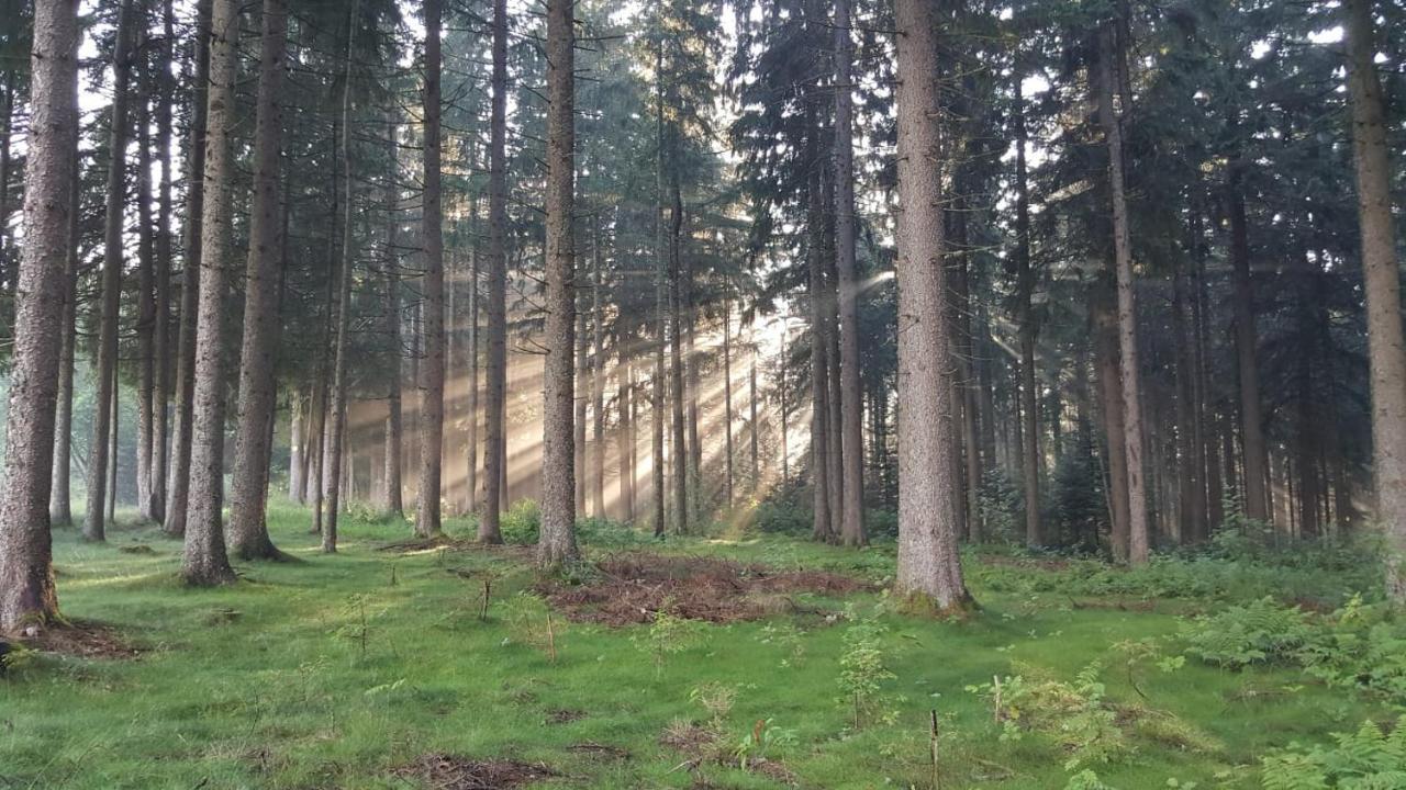 Schwarzwald geht immer Fewo 60 qm mit großem Südbalkon, WLAN und Magenta TV Schönwalde Exterior foto