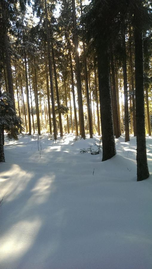 Schwarzwald geht immer Fewo 60 qm mit großem Südbalkon, WLAN und Magenta TV Schönwalde Exterior foto
